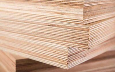 Đặc điểm cấu tạo và ứng dụng của gỗ plywood trong nội thất